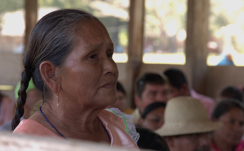 Victorias de la resistencia de las comunidades indígenas de la Amazonía boliviana